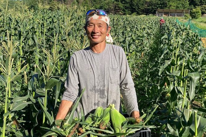 ＜てんとうむしばたけ＞有機とうもろこし5本　有機野菜 甘い 野菜 ふるさと納税 とうもろこし 期間限定 とうもろこしごはん かき揚げ 有機 オーガニック 産地直送 旬野菜 旬 コーン バター ペッパーランチ シャキシャキ 弾ける 丸ごと かぶりつきBR00029