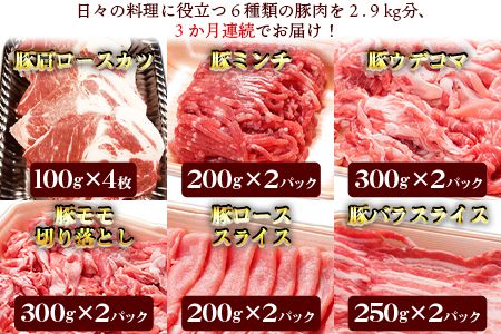 ＜3か月定期便 和富豚 そがらしセット 2.9kg＞翌月末迄に第一回目発送【b0317_em】