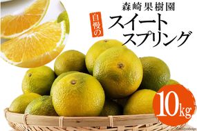 BC002 森崎果樹園自慢のスイートスプリング（10kg）[みかん ミカン 旬 10キロ 長崎県 島原市]