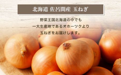 玉ねぎ 10kg 北海道 佐呂間産 （2026年10月出荷開始先行予約） SRMM019