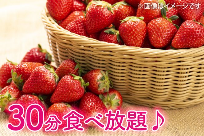 CS002-1 30分食べ放題　いちご狩り入園券（2名様）