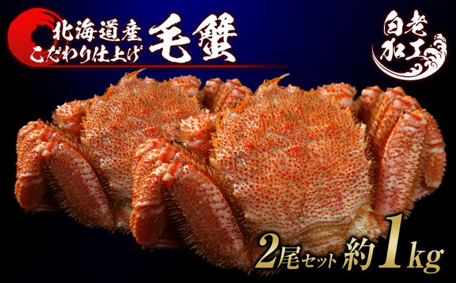 毛蟹 ボイル済み 冷凍 2尾セット 約1kg BM300（北海道白老町