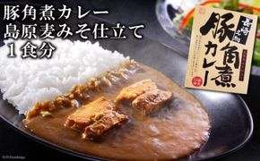 CE037 豚角煮カレー　島原麦みそ仕立て　1食分