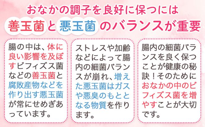 森永乳業 毎朝爽快Light ピーチレモネード味 125ml×24本 株式会社紀和 《90日以内に出荷予定(土日祝除く)》 和歌山県 紀の川市 低カロリー 機能性表示食品 飲料 送料無料---wsk_kiw2_90d_23_11000_24h---