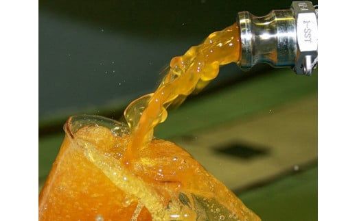 七福醸造の有機白しょうゆ2本セット 厳選素材 万能 調味料 白醤油 セット レシピ冊子付き 有機大豆 有機小麦 醤油 しょうゆ 旨味 和食 煮物 卵料理 お吸い物 麺類 炒めもの 揚げ物 料理 ヴィーガン ビーガン vegan 認証 H001-074