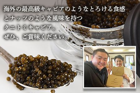 【訳あり】＜クニトミキャビア 日本酒フレーバー 20g（20g×1）＞翌月末迄に順次出荷【0655_mc】