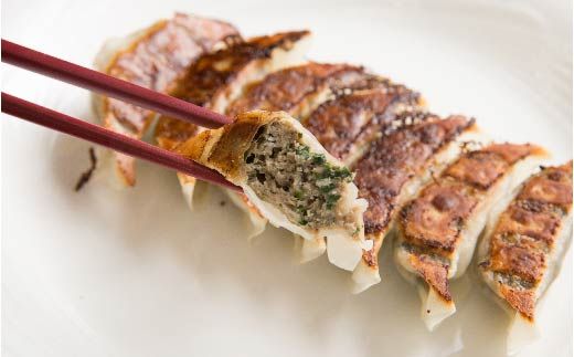 R5-013．家(うち)に来る“高知” ジューシーな具をぎっしり詰めた手づくり!!　四万十ひすい餃子・一本釣りかつお餃子（8ヶ×2パック×2種）　タレ付き　にんにく不使用！