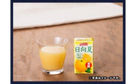 飲料 『サンA日向夏ジュース100%』125ml×24本セット☆ [F3021]