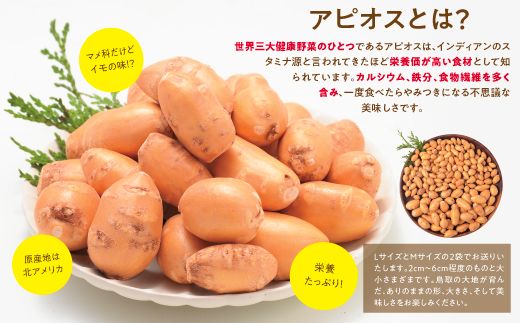 0082 世界三大健康野菜 アピオス 1キロ