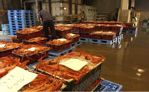 【3-5月出荷】蒸し紅ズワイガニ　1匹（約800g以上） ｜ ずわい蟹 ずわいガニ ズワイガニ ※2026年3月上旬～5月下旬頃に順次発送予定 ※北海道・沖縄・離島への配送不可