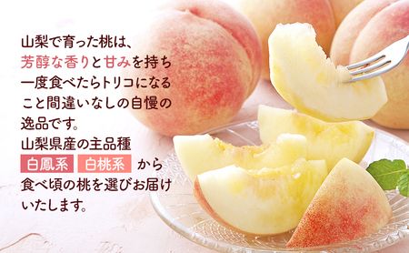 【2024年発送】大容量!山梨県産 旬の桃4kg以上 (2kgx2箱)ふるさと納税 先行予約 SWAB001