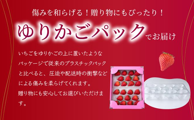 《先行予約・数量限定》佐賀県人気NO1「いちごさん」約1kg（235g×4p）