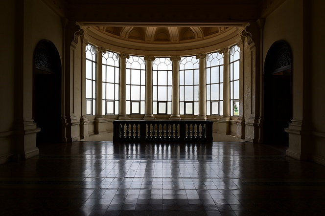 SIGMA 16mm F1.4 DC DN | Contemporary【ニコンZマウント】