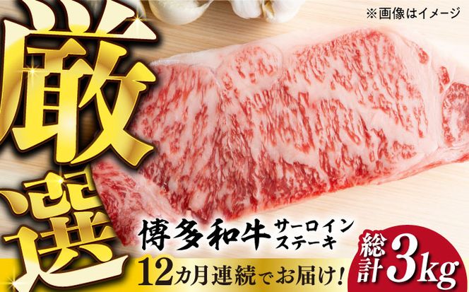 【全12回定期便】【厳選部位使用！】博多和牛サーロインステーキ250g×1枚《築上町》【株式会社MEAT PLUS】[ABBP047]