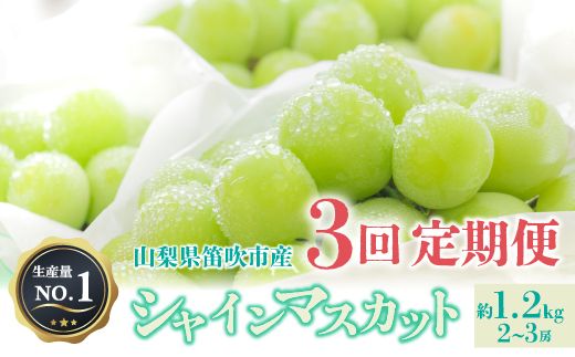 ＜2024年先行予約＞人気 シャインマスカット 約1.2kg 2～3房 3回定期便※沖縄県及び離島への配送はできませんので予めご了承ください。※常温配送 126-013