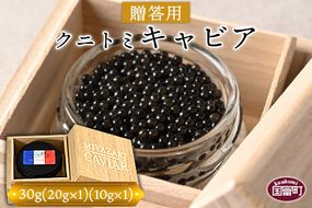 ＜【贈答用】クニトミキャビア30g（20g×1+10g×1）＞翌月末迄に順次出荷【a0649_mc】