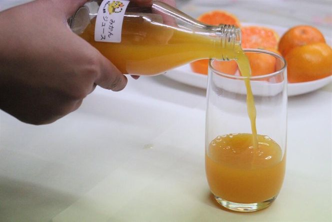 【お中元】数量限定　果汁100％！ 搾りたての柑橘ジュース　180ml×5本　2024年7月1日～8月5日ごろ順次発送DB003-GFT