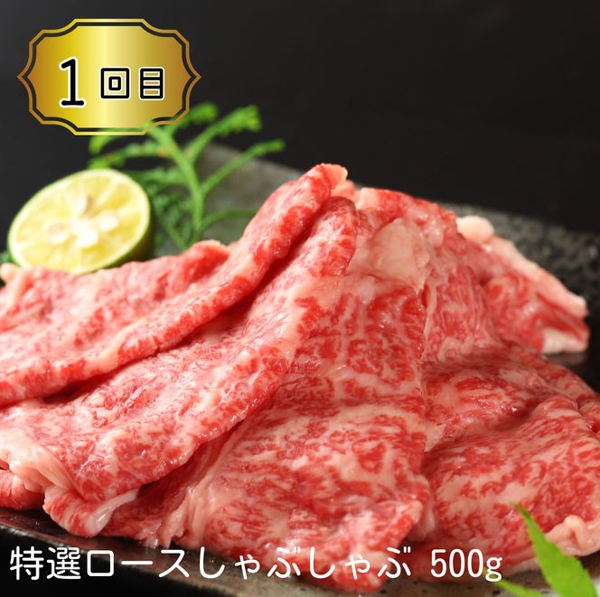 【CF】《定期便》全4回お届け！大川原高原牛　特選ロース(しゃぶしゃぶ・ステーキ・焼肉・スライス)《お申込み月の翌月から出荷開始》---sanagouchi_nfw_18_tei---