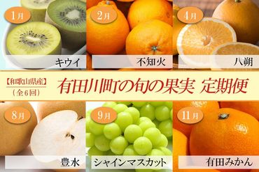 【定期便全6回】 有田川町の旬のフルーツをお届け！BZ110