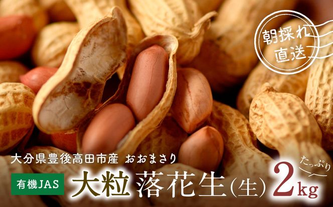 0C3-92 【先行予約】有機栽培で育てた大粒落花生（おおまさり）2kg