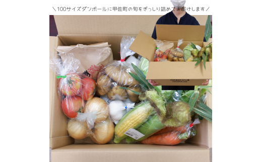 旬のお野菜おまかせセット＆山出米2kg【新米先行受付】 - 令和7年11月以降順次発送 新米 令和7年産 新鮮 野菜 旬 朝採れ 季節 精米 お米 米 しっとり もちもち 甘み おにぎり ごはん 複数原料米 セット 詰め合わせ おまかせ 国産 九州産 熊本県 熊本県産 甲佐町【価格改定ZB】