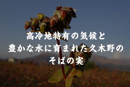 自然豊かな南阿蘇の粗挽きそば 20袋(40束) つゆ40食付き あそ望の郷くぎの そば道場《90日以内に出荷予定(土日祝を除く)》 熊本県南阿蘇村 蕎麦---sms_sdosoba_90d_r7_33500_20i---