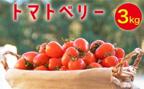 【2025年12月～発送】トマトベリー 3kg   / トマト 野菜 サラダ ミニトマト プチトマト / 南島原市 / 長崎県農産品流通合同会社 [SCB030]