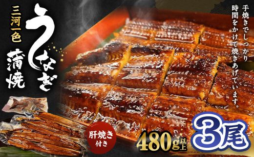 三河一色うなぎ蒲焼 3尾 合計480g以上 (肝焼き付き)うなぎ 蒲焼