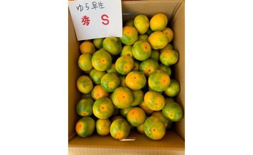 ゆら早生みかん 赤秀品 Sサイズ 5kg CC23