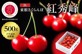 2025年GI東根さくらんぼ「紅秀峰」500gバラ詰め(2L) 東根農産センター提供 山形県 東根市 hi027-176-2