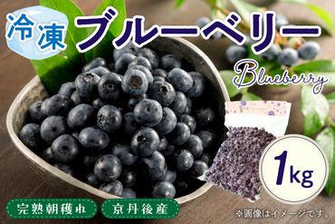 美味しさそのまま摘みたてをハイブリッド冷凍　京丹後産冷凍ブルーベリー1kg/北畿水産　HK00160