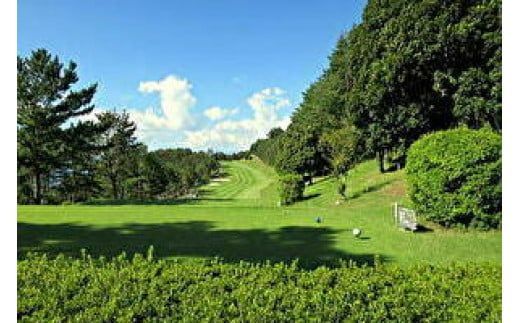 ゴルフ優待プレー補助利用券(ウッドストックカントリークラブ)5000円分 008-001