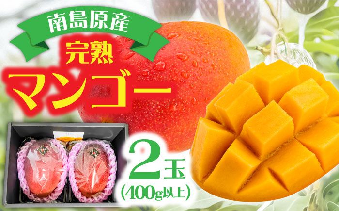 [2025年7月〜発送]南島原産完熟マンゴー2玉 / 南島原市 / ながいけ