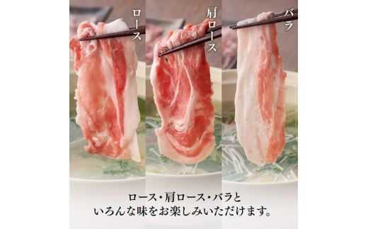 宮崎県産豚肉 小野さんちの"豚肉５種セット” 2.5kg【 豚肉 豚 肉 宮崎県産 しゃぶしゃぶ 焼肉 セット 和洋中】 [E10506]