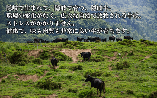 【幻の隠岐牛】サーロイン 上赤身 ステーキセット 400g 島育ちの本物のブランド黒毛和牛 (隠岐牛 黒毛和牛 牛肉 肉 ステーキ A4 A5 ブランド牛 放牧)