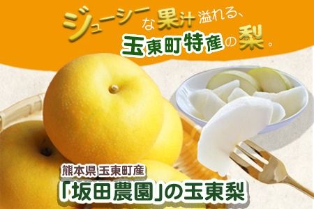 『坂田農園』の玉東梨 約5kg《8月中旬-9月末頃出荷》 熊本県玉名郡玉東町産『坂田農園』なし 果物 スイーツ フルーツ デザート スムージー 熊本県玉東町---sg_csktns_bc8_r8_14500_5kg---