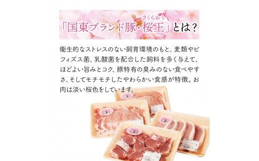 美味しい豚肉「桜王」の贅沢４種食べ尽くしセット1.8kg_29311A