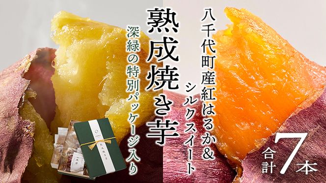 【 先行予約 2025年1月以降発送 】 oimo_tokyo 深緑 の 特別パッケージ入り 熟成 焼き芋 八千代町産 ( 紅はるか＆ シルクスイート ) 7本 セット ギフト 冷蔵 冷やし やきいも 食物繊維 さつまいも 美容 健康 スイーツ おやつ 小分け 茨城県産 [BY006ya]