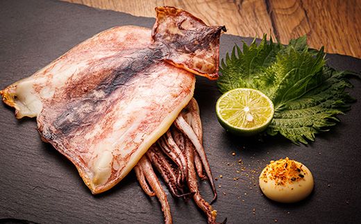 北海道産 真いか 一夜干し 2杯×6個セット | 一夜干し 烏賊 いか イカ 焼魚 焼き魚 セット ひもの 冷凍 冷凍 魚介類 海鮮 絶品 人気 笹谷商店 直営 釧之助本店 高級 北海道 釧路町 釧路超 特産品 121-1920-450-078