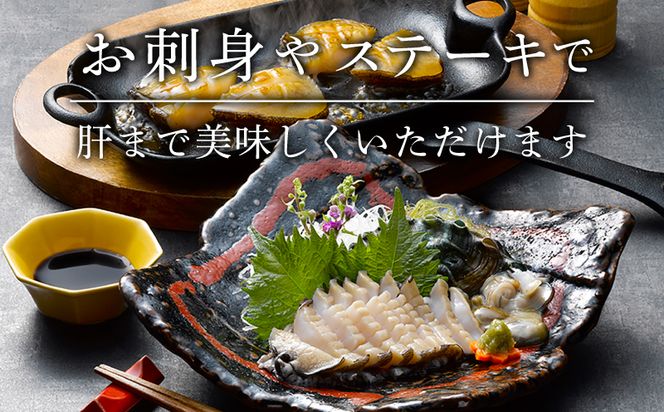 蝦夷あわび 約600g 冷凍 鮑 あわび アワビ 鮑 Abalone ステーキ 刺し身 刺身 バーベキュー  バターソテー 正月 お正月 おせち  BBQ ごはん 夕飯 おかず おつまみ 晩酌 米 丼 海産物 海鮮 魚介 魚介類 贈答品 お中元 お歳暮 大船渡 三陸 岩手県 国産[56500426_1]