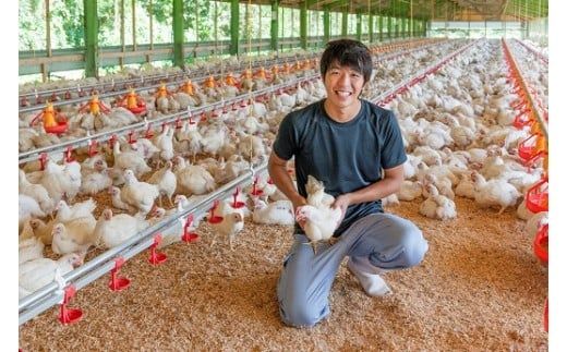 D351 秋川牧園　旨みたっぷり鶏肉セット