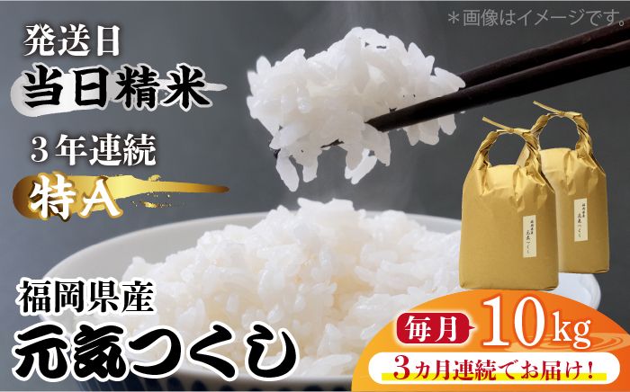 [先行予約][全3回定期便]福岡県産[特A]評価のお米「元気つくし」5kg×2袋 [10kg] [白米][2024年11月下旬以降順次発送][築上町][株式会社ベネフィス][ABDF115]