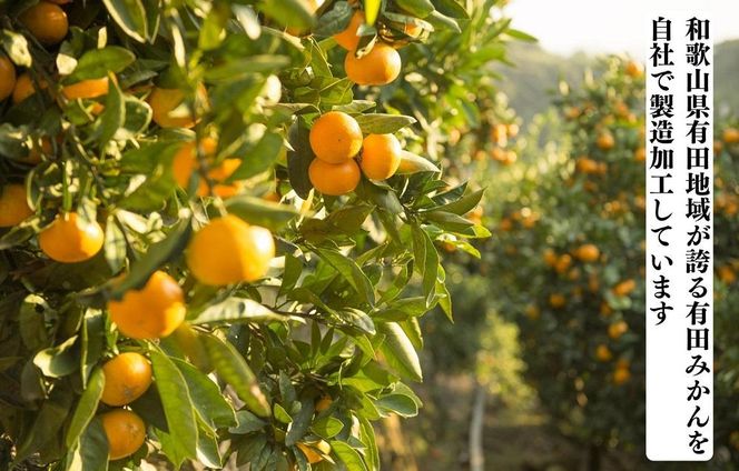 ドライフルーツ みかんチップ 100g ( 20g × 5袋 ) 和歌山県産 果物使用 自社製造 【みかんの会】 AX151