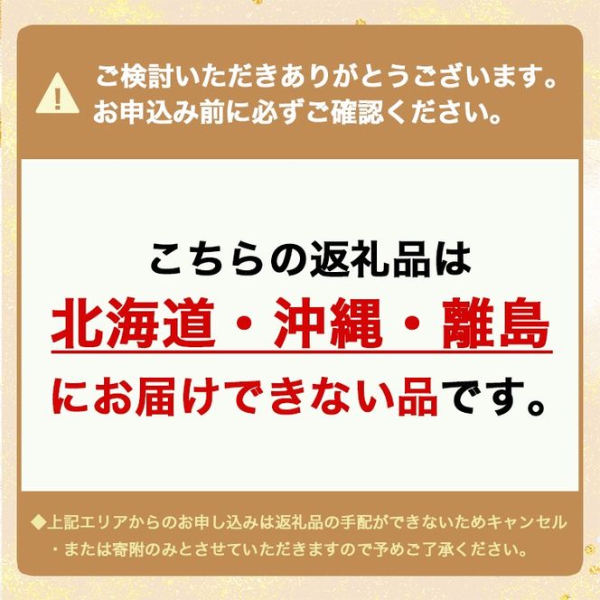 白えびラーメン10食セット 石川製麺