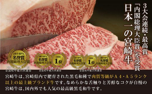 【特選】宮崎牛6種盛 焼肉食べ比べセット [G7425]