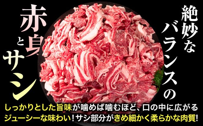 牛肉 黒毛和牛 切り落とし 500g ～ 3kg 《30日以内に出荷予定(土日祝除く)》 岡山県 矢掛町 牛 牛肉 和牛 牛丼 カレー 小分け 小分けパック 250g 送料無料---ofn_fokw_30d_24_9000_5---