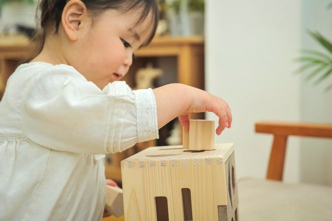 木製 パズル ドロップボックス【檜のおもちゃ ＩＫＯＮＩＨ】 ≪桧 おもちゃ ヒノキ ひのき 木育 知育≫