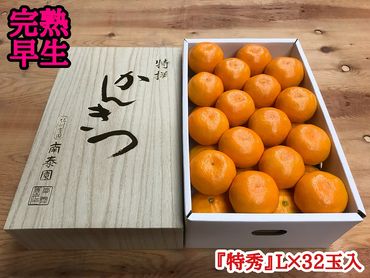 年内発送 完熟早生 有田みかん 化粧箱 特秀 L サイズ 32玉入 和歌山 南泰園 BS632