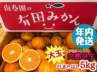 年内発送 ちょっと 傷あり 完熟早生 有田みかん 大玉 2L または L サイズ 5kg 和歌山 南泰園 BS647