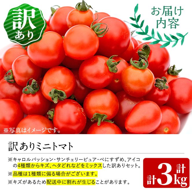 訳あり・規格外！数量限定の門川町産ミニトマト(計約3kg)フルーツ